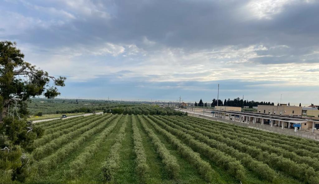 Villa Nascente Bitetto Esterno foto